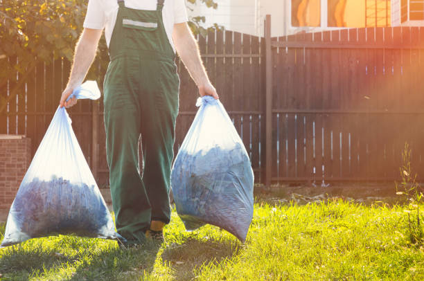 Best Office Junk Removal  in Pepeekeo, HI